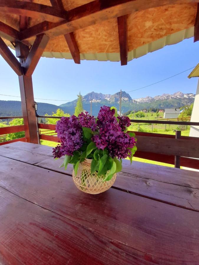 Durmitor Apartman Pitomine Žabljak Exteriér fotografie